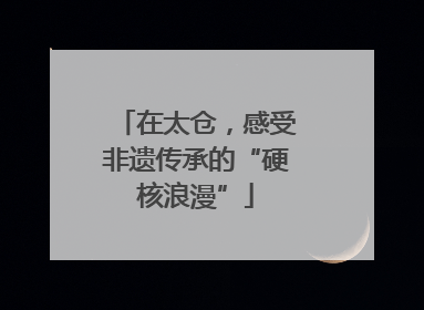 在太仓，感受非遗传承的“硬核浪漫”